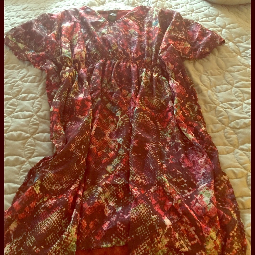 Dress or long tunic